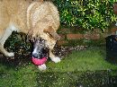 P3050062 * 2048 x 1536 * (668KB)