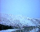 DSC_0492 * 1280 x 1024 * (280KB)